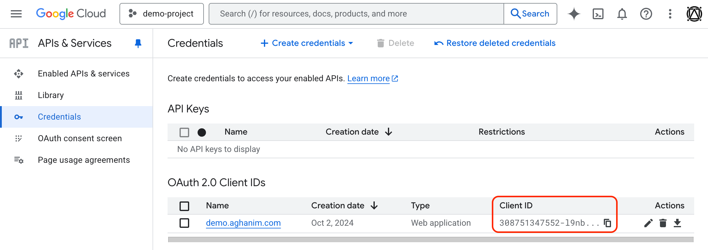 Google Login
